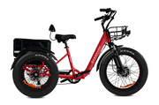 Perraro Panda Electric Trike 750W