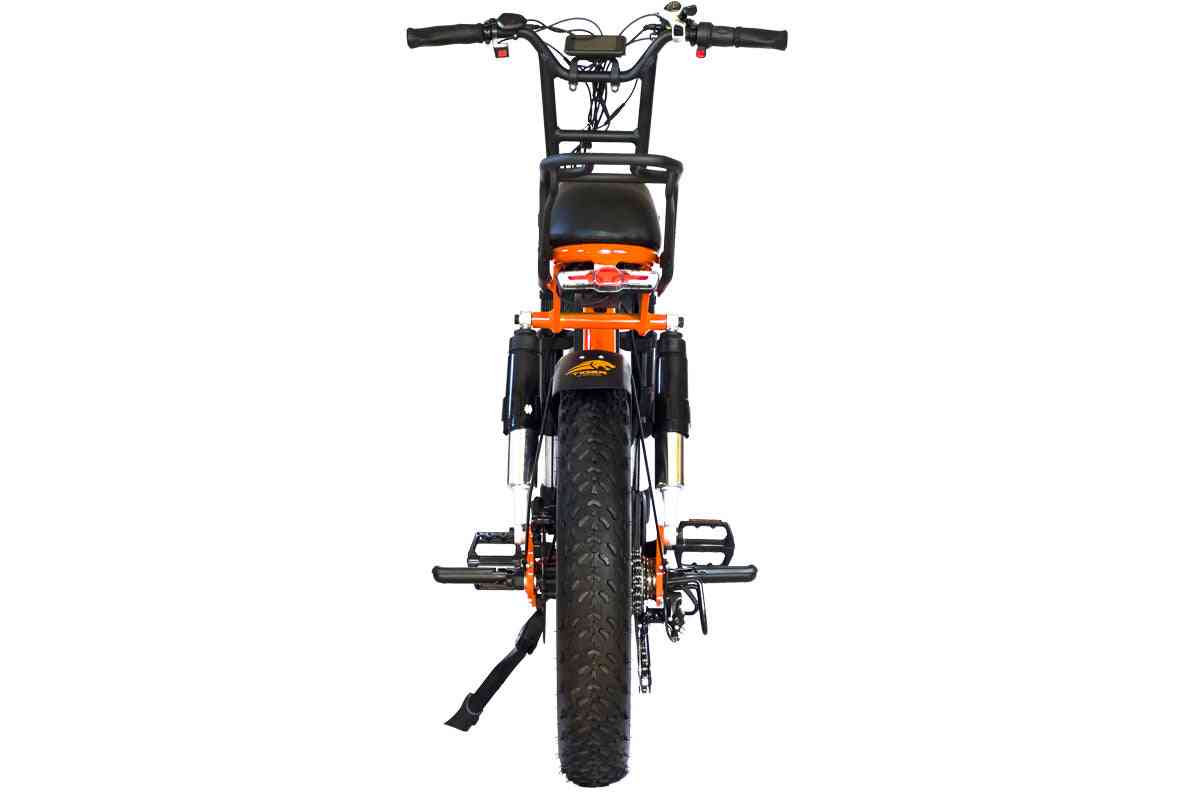 Dual Motor Electric Bike | 1500W Electric Bike | Perraro Electric Bike