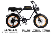 Fat Tire Electric Bike 750W