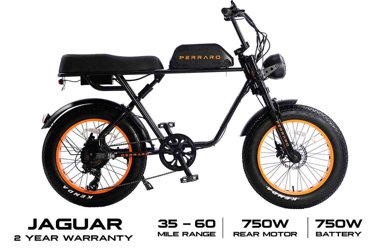 Fat Tire Electric Bike 750W