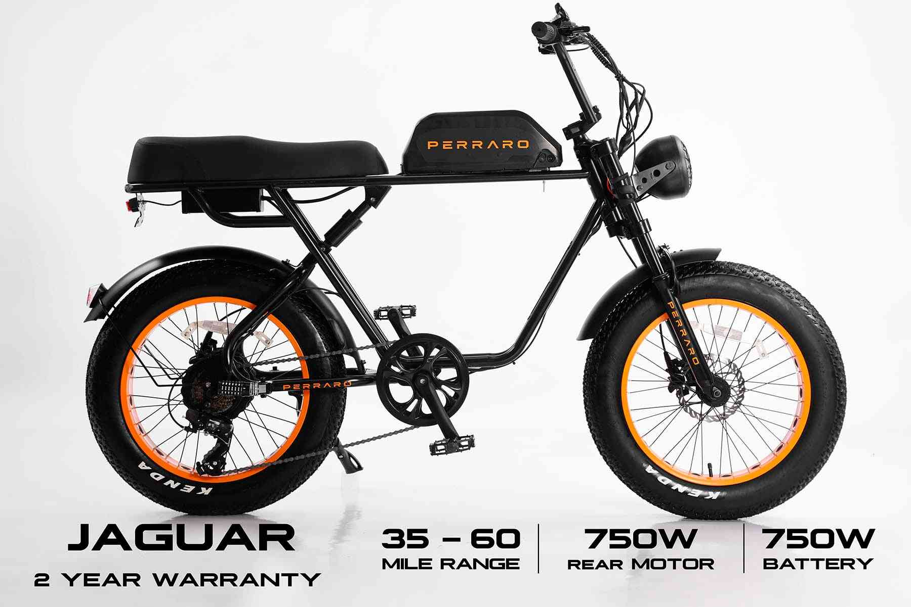 Fat Tire Electric Bike 750W